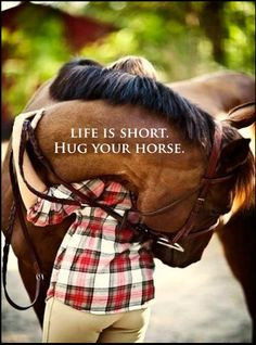 Horse Quotes & Laughs