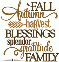 ... Online Store: autumn fall harvest blessings gratitude - vinyl phrase