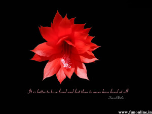 Beautiful Flower with Love Quote