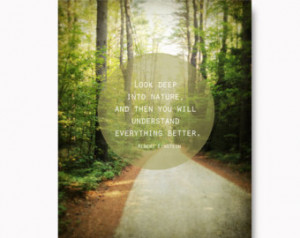 ... inspirational quote, nature quote, green, brown, New Hampshire forest