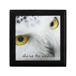 Owl jewelry box features a white owl face with the quote 