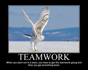 Start out in a Team