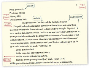 Essays and Term Papers