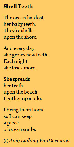 Shell Teeth - THE PRIVATE EYE