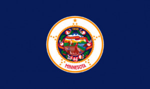 Minnesota State Flag Picture