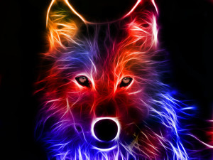 Cool Colorful Wolf - Computer Backgrounds
