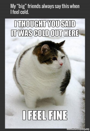 funny-fat-cat-winter-photo-2014-super-meme.jpg