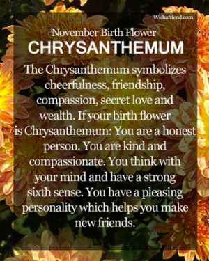 November Birth Flower : Chrysanthemum