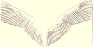 quotes from popular Author and famous people, and many Popular quotes ...