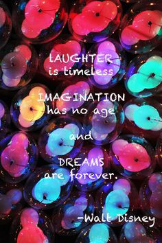 Disneyland and California adventure the most magical places on earth