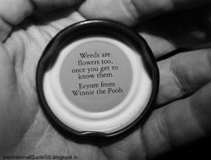 view original image )