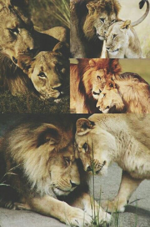 Every king needs his queen.Every King Needs His Queen