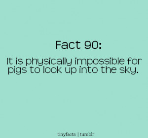 ... Quote | It is physically impossible for pigs to look up into the sky