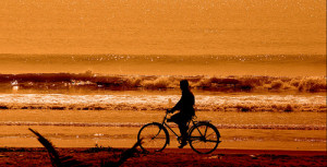 sea shore - quotes Photo