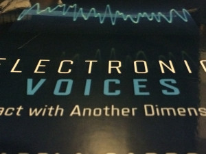 Electronic-Voices-Book-featured-image.jpg