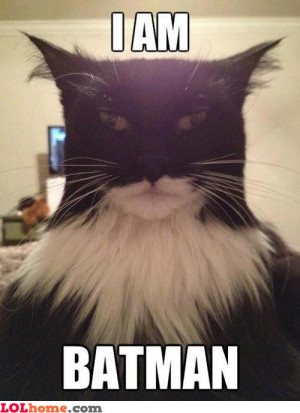 May I present to you Batcat... or Batman. I don't really know.