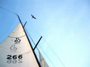 Sailing is a great metaphor for life. See the Beneteau logo, and our ...