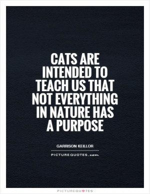 children quotes nothing you do for children is ever wasted