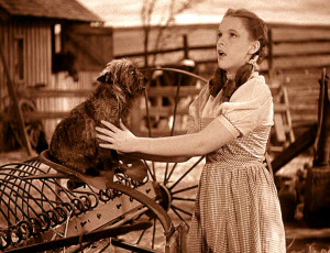 Judy Garland in The Wizard of Oz - 1939