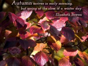 Autumn Quote: Autumn arrives in early morning, but spring... Autumn (2 ...