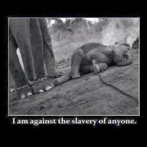 Slavery hurts my heart and makes me sad.
