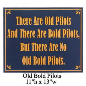 Good-Natured Aviation Signs - Sporty's Wright Bros