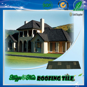 Happiness_Znic_metal_roof_modern_roofing.jpg