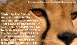 Bible Verses About Death Of A Family Member Passes from death to life