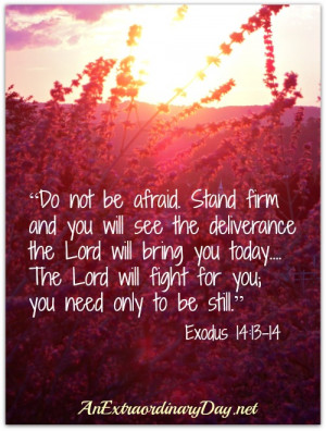 You are here: Home › Quotes › Awesome verse!! Exodus 14:13-14. So ...