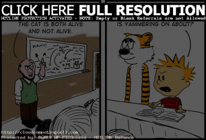 schrodingers cat comic