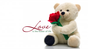 Teddy Bear Love Quotes high quality image