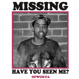Remake of the ‘MISSING: HAVE YOU SEEN ME’ shirt. Can be used for ...