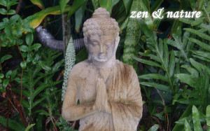 zen-serenity-and-nature_1920x1200_1200-wide.jpg