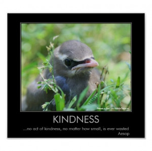 ... quotes tags i miss you quotes kindness baby bird motivational poster