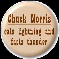 Chuck Norris Eats Lightning And Farts Thunder