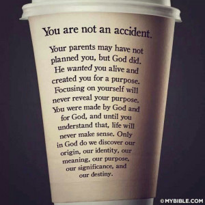 You are not an accident. This needs to be repinned, reblogged, reseen ...