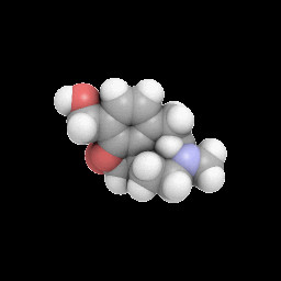 Picture of Codeine molecule