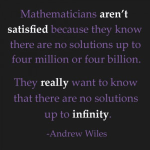 infinity quote andrew wiles