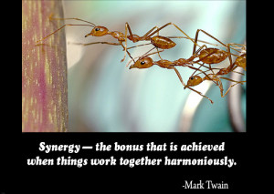 Team Mottos, team quotes and phrases.