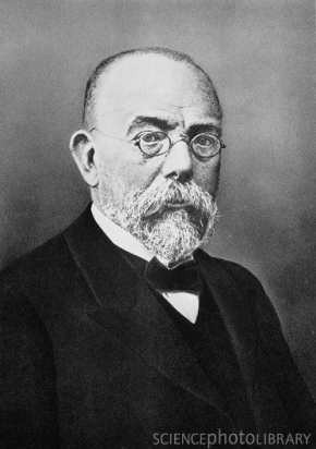 造訪原始網頁: Who is Robert Koch? | Robert Koch StarNoStar ...