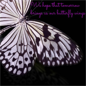 Butterfly Wings - Owl City