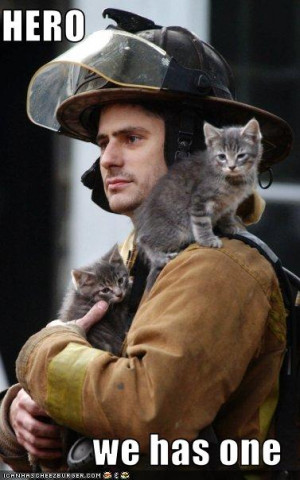 Real men rescue cats