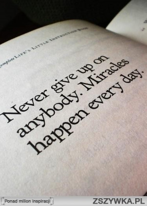 Zobacz zdjęcie book, every day. w pełnej rozdzielczości