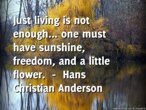 Pin it Like Visit Site