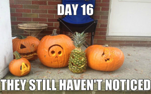 Funny Pictures LOL 2014 Ninja Lvl. Pineapple