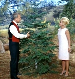 These are the products cast green acres television photo html Pictures