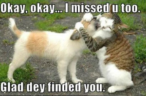 Cute: Cat Hugging Dog