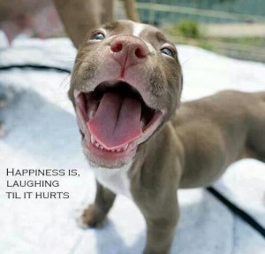 Happiness is laughing til it hurts