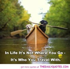 cute animal pictures with funny sayings motivational love life quotes ...