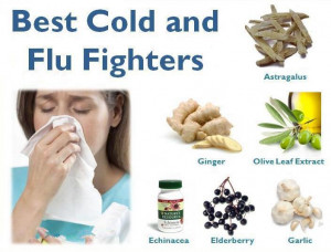 Most important foods to fight against the common cold